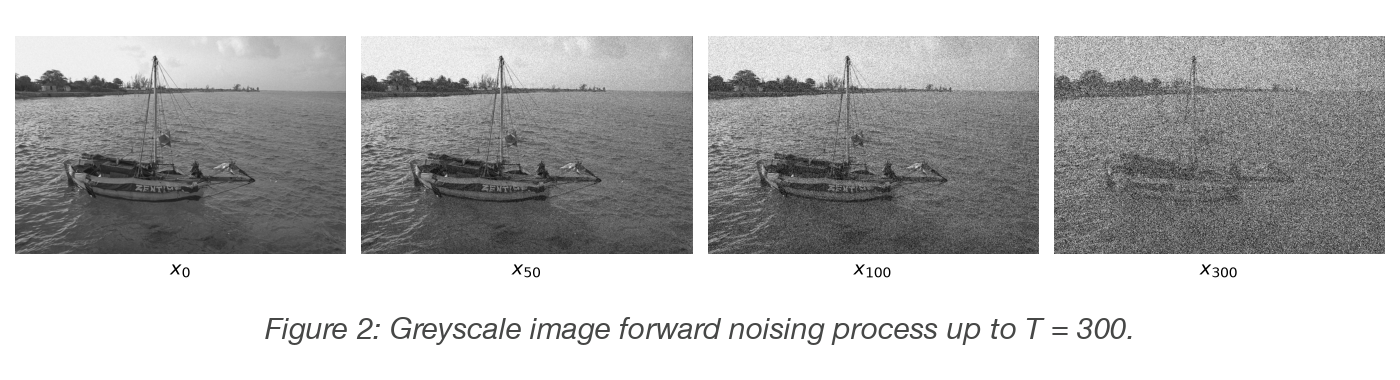 Figure 2: Greyscale image forward noising process up to T=300